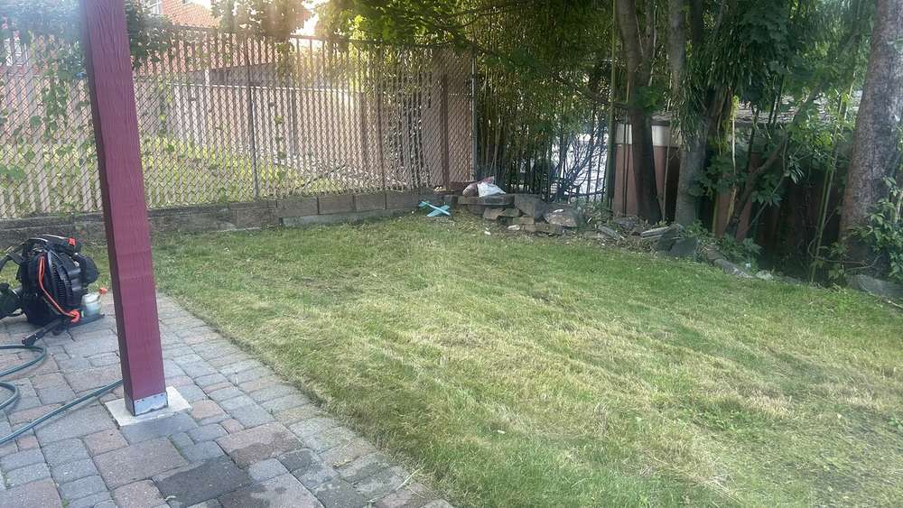 Freshly mowed backyard lawn
