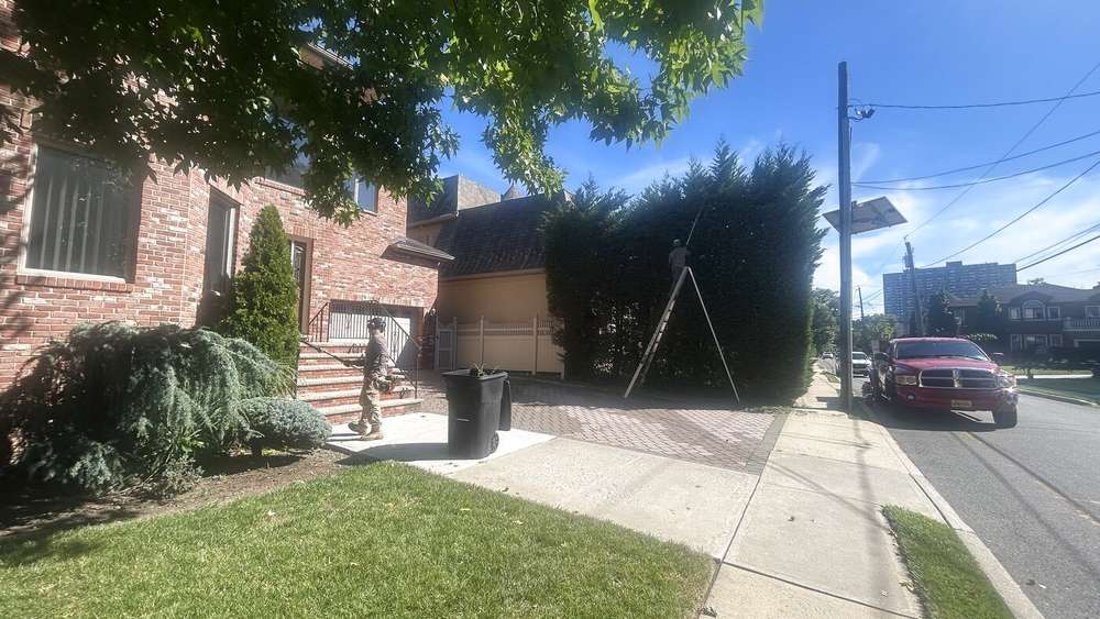 Crew trimming a tall hedge along a driveway