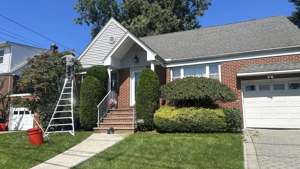 Crew trimming a front yard hedge and tree line