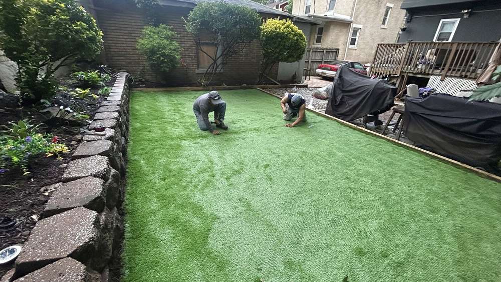 Finished artificial turf yard, wide view