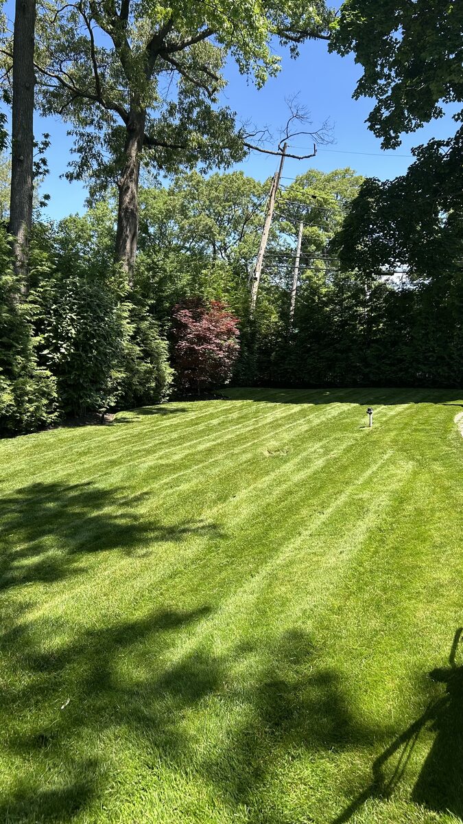 Freshly mowed lawn with crisp mowing stripes